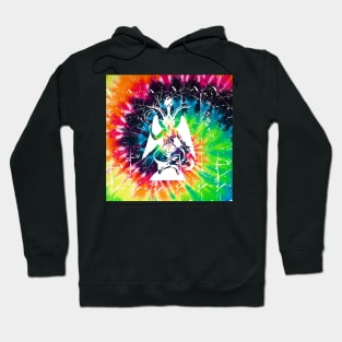 Psychedelic Baphomet Hoodie